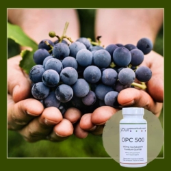 OPC Hochdosiert 500mg, Weintrauben Kernextrakt, 2+1 Gratis