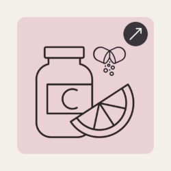 Vitamine & Nährstoffe