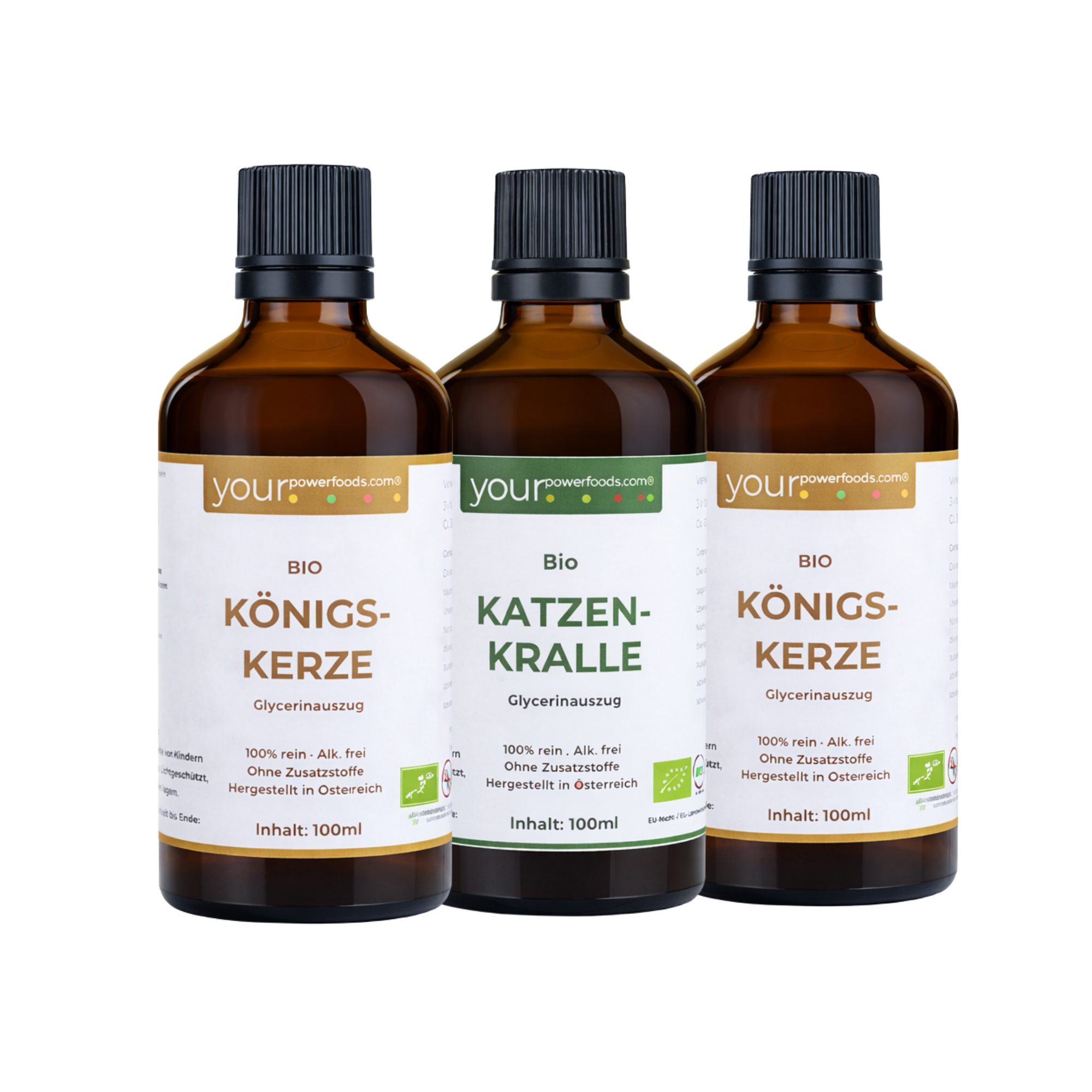 Saisonales Pflanzenbundle für Winter & Frühling