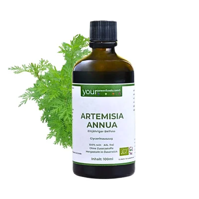 Artemisia Annua, Einjähriger Beifuss, alkoholfrei, 100ml