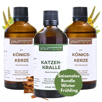 Saisonales Pflanzenbundle für  Winter & Frühling